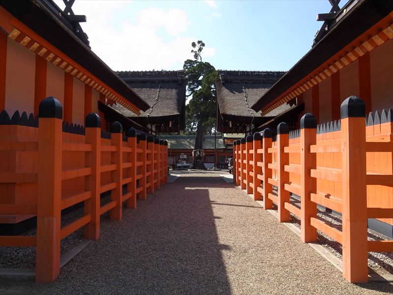20160320_Sumiyoshitaisha Shrine-5-5